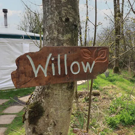 Willow Yurt *